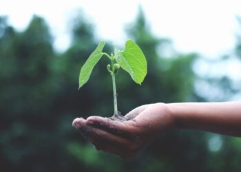 Khenchela : Une formation pour renforcer l’entrepreneuriat féminin dans l’économie verte