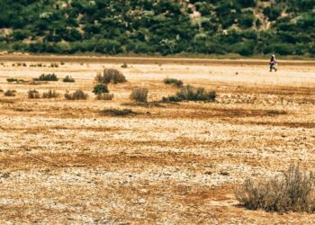 Lutte contre l’érosion et la désertification : La protection des terres agricoles en ligne de mire