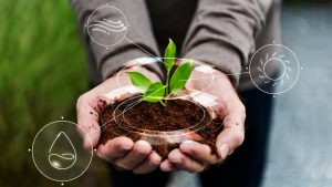 Modernisation de l’agriculture : Les partenariats et l’innovation à la rescousse