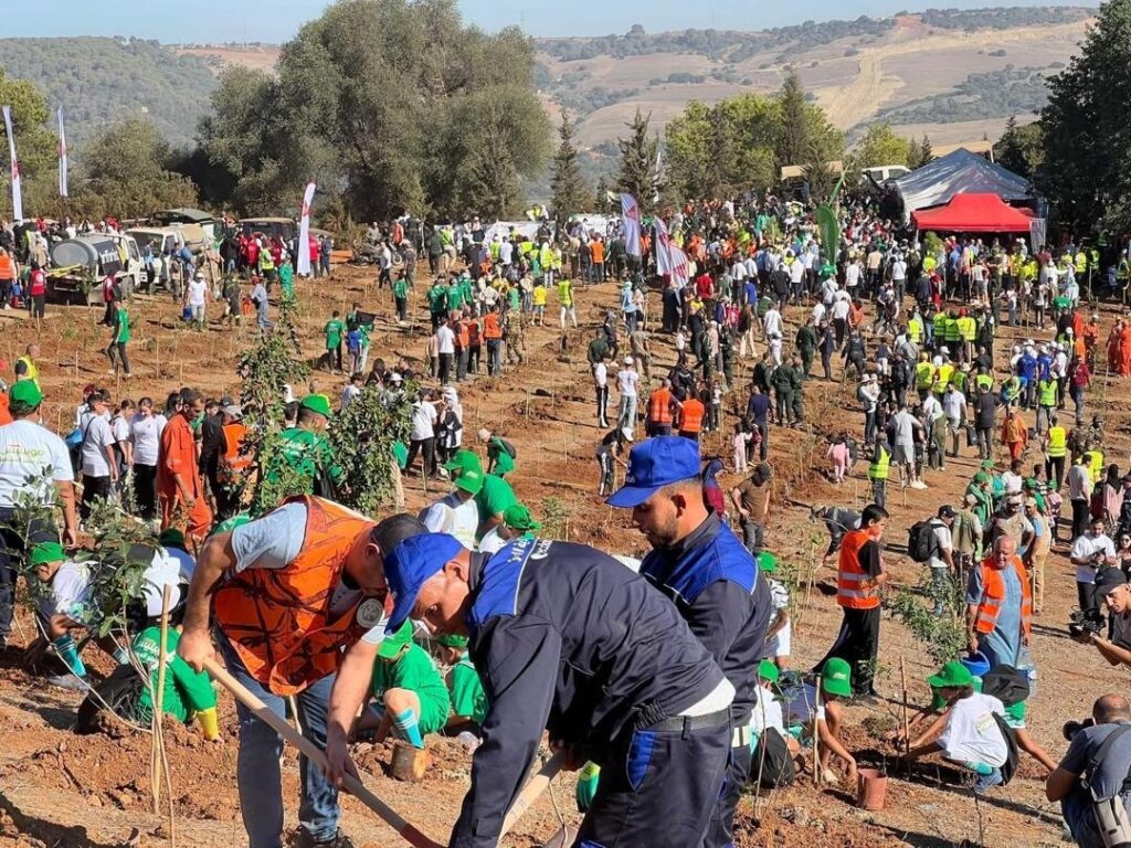 De la commune historique d’Aït Aggouacha : Coup d’envoi officiel de la campagne d’envergure de plantation d’arbre