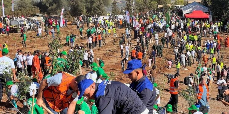De la commune historique d’Aït Aggouacha : Coup d’envoi officiel de la campagne d’envergure de plantation d’arbre