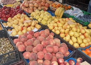 Mascara : Journée d'étude sur les nouvelles normes de présentation des fruits et légumes frais