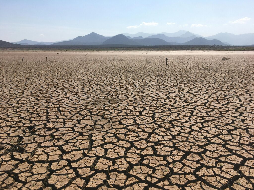 Lutte contre l’érosion et la désertification : La protection des terres agricoles en ligne de mire
