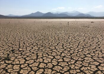 Lutte contre l’érosion et la désertification : La protection des terres agricoles en ligne de mire