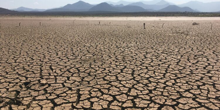 Lutte contre l’érosion et la désertification : La protection des terres agricoles en ligne de mire