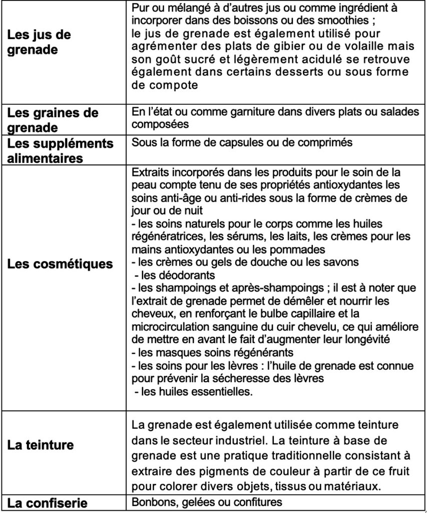 Tableau 4 : Aperçu non exhaustif des déclinaisons riches et variées de la grenade