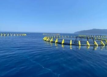 Oran : Une dynamique soutenue dans le secteur de l’aquaculture