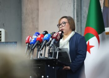 La ministre de la Formation et de l’Enseignement professionnels, Nassima Arhab