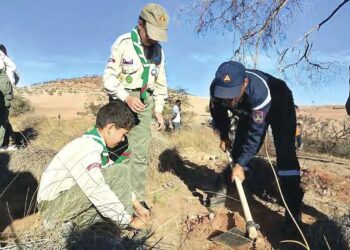 Sidi Bel Abbès : Formation sur le dépérissement des arbres