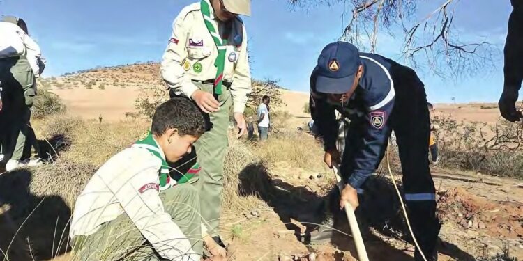 Sidi Bel Abbès : Formation sur le dépérissement des arbres