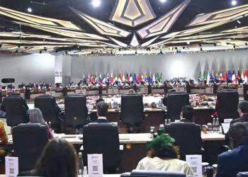 Gestion de la dette et réduction des risques de catastrophes naturelles : Les engagements du Sommet du G20 à Johannesburg