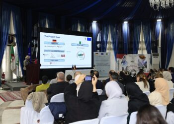 AAPI : Jumelage institutionnel avec le ministère fédéral allemand de l’Économie et de l’Énergie (BMWE)