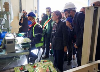 Ouled Djellal : Krikou supervise le lancement du programme national de gestion intégrée des déchets
