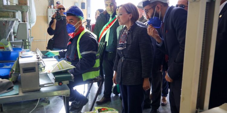 Ouled Djellal : Krikou supervise le lancement du programme national de gestion intégrée des déchets
