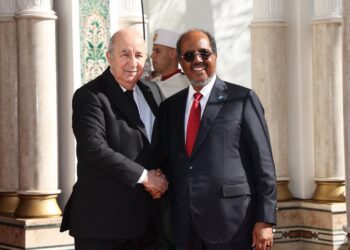 Le président Tebboune reçoit Président de la Somalie M. Hassan Sheikh Mohamud