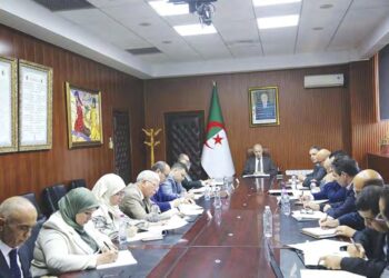 L’Algérie en fait sa priorité pour le court terme : Cap sur l'économie numérique