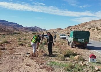 Batna : Plus de 1,4 million de plants à mettre en terre durant la saison 2025-2026