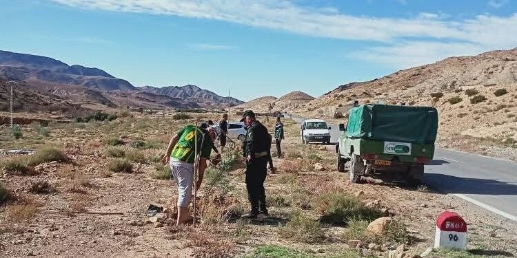 Batna : Plus de 1,4 million de plants à mettre en terre durant la saison 2025-2026