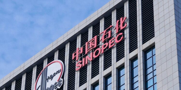 Projet culturels sino-algériens : 5 jeunes algériens lauréats