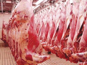 Viande rouge ovine : Comment réduire de moitié les coûts de production