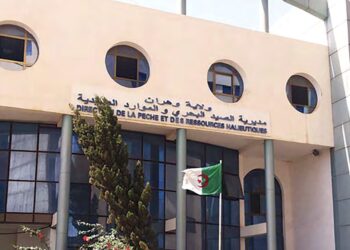 Oran : Projet de réalisation d’un laboratoire régional d’analyses des produits de la pêche maritime