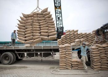 Concurrence internationale, décarbonation... Le ciment algérien à l’épreuve