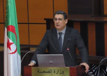 Réunion d'orientation avec les DSP des wilayas du pays : Les orientations de Seddik Ait Messaoudene