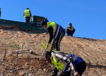 Sur le tracé de la ligne ferroviaire minière ouest à Béchar : Lancement d’une opération de plantation d’arbustes