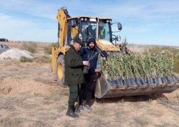 Réhabilitation du barrage vert : Vers la plantation de plus de 1,3 million d'arbustes à Tébessa