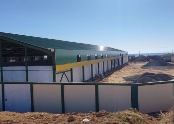 Tissemsilt : Raccordement de quatre centres de proximité de stockage de céréales au réseau électrique