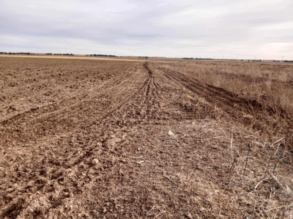 Saïda : Récupération de 1.000 hectares de terres agricoles inexploitées