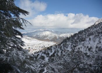 Journée internationale de la montagne : Un gage de stabilité et de développement pour le monde rural