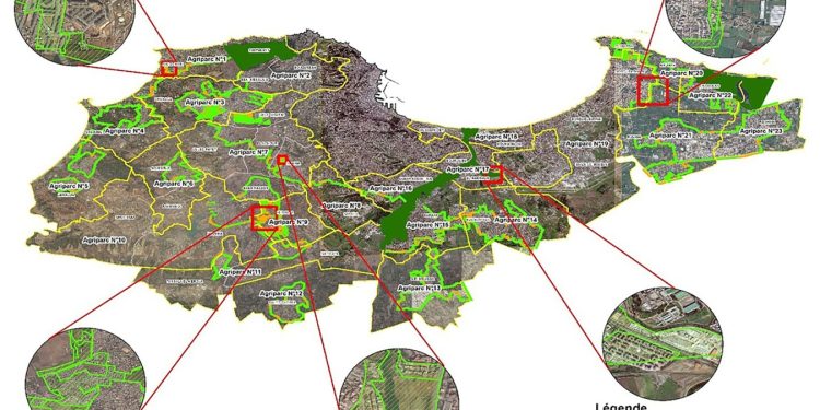 Agriparcs urbains à Alger : Un modèle d’intégration de l’agriculture urbaine