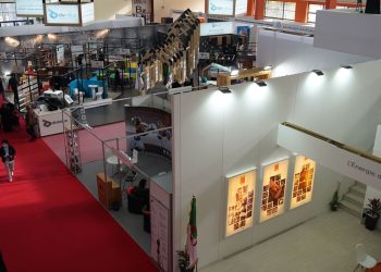 Programme «Dzair pour le soutien aux exportateurs» : Une adhésion de 450 entreprises enregistrée