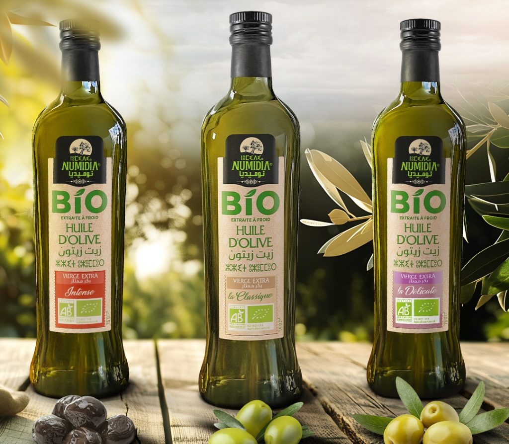 Numidia, l’huile d’olive de Bejaia : Entre héritage millénaire et ambition internationale