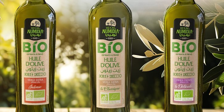 Numidia, l’huile d’olive de Bejaia : Entre héritage millénaire et ambition internationale