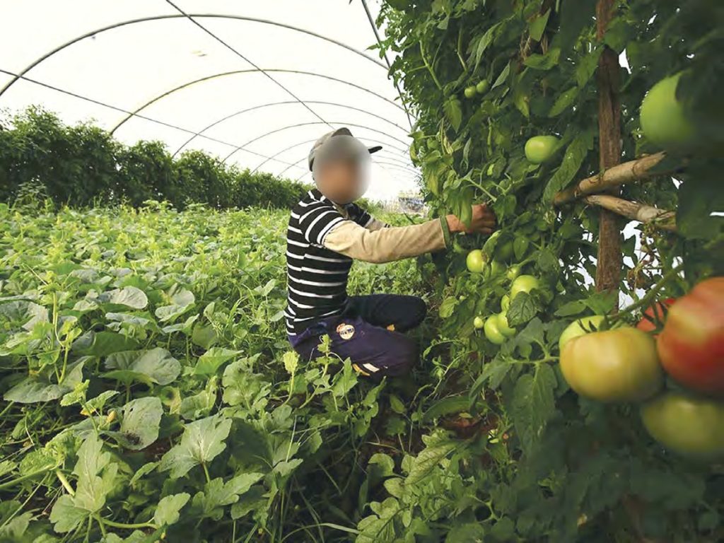 Projet d’une nouvelle loi d’orientation agricole : La sécurité alimentaire en point de mire
