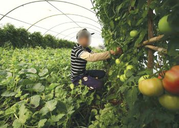 Projet d’une nouvelle loi d’orientation agricole : La sécurité alimentaire en point de mire