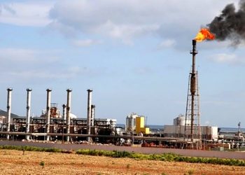 Corée du Sud, France, Espagne, USA, Royaume-Uni : Les principaux importateurs de pétrole algérien en 2025