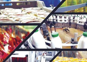 Produire, transformer, exporter : Les nouveaux horizons de la production agricole