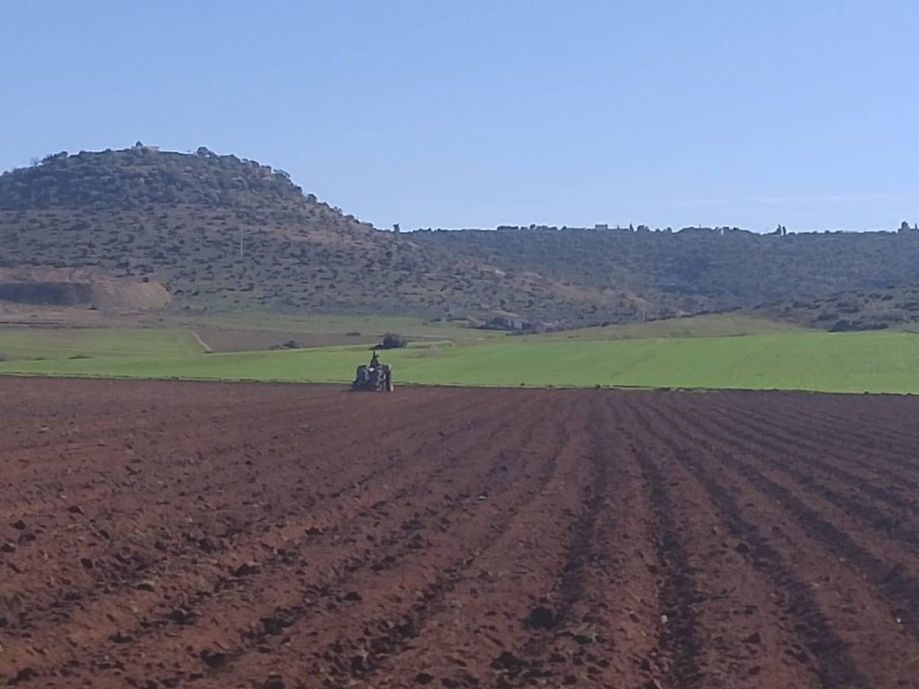 Agriculture 4.0 et Agro-industrie : Le poumon économique de Mascara