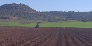 Agriculture 4.0 et Agro-industrie : Le poumon économique de Mascara