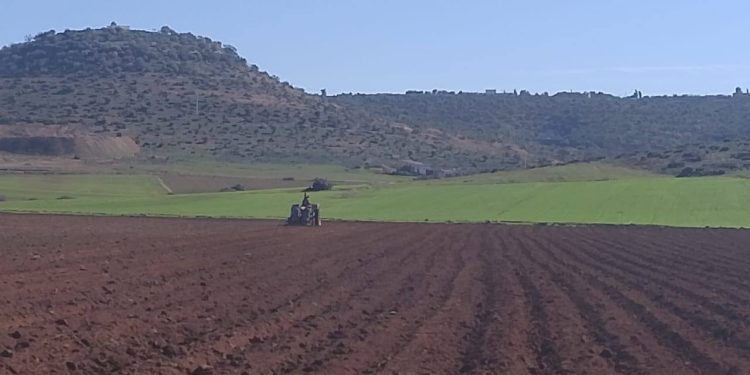 Agriculture 4.0 et Agro-industrie : Le poumon économique de Mascara