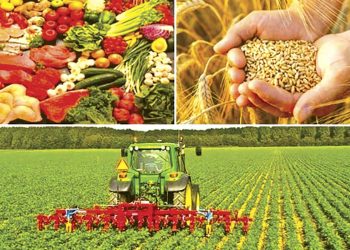 Agriculture et sécurité alimentaire : De grands projets pour la souveraineté économique