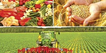 Agriculture et sécurité alimentaire : De grands projets pour la souveraineté économique