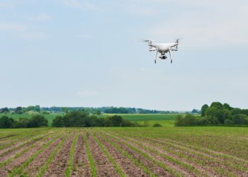 Agriculture : La technologie et la coopération au service de la performance