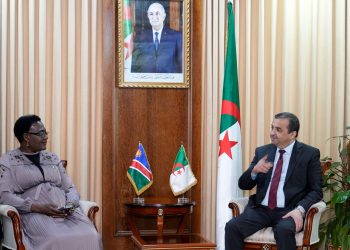 Hydrocarbures : Une délégation namibienne de haut niveau à Alger