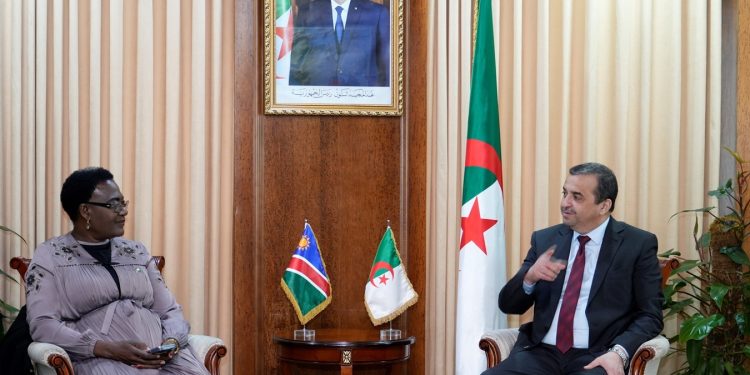 Hydrocarbures : Une délégation namibienne de haut niveau à Alger