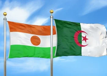 Relance du partenariat avec le Niger : Après la reprise l’action