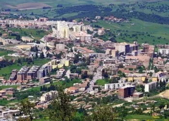 Azazga, Freha, Yakouren, Ifigha et Zekri : Les cinq piliers d’une renaissance économique